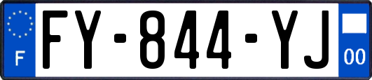 FY-844-YJ