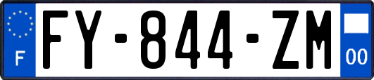 FY-844-ZM