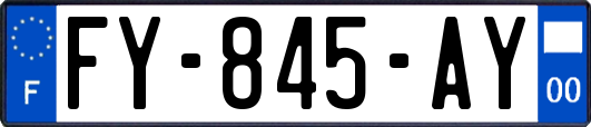 FY-845-AY
