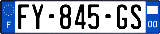FY-845-GS