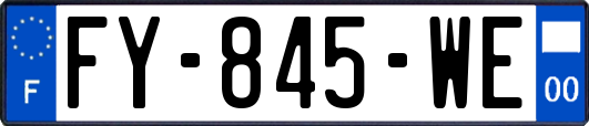 FY-845-WE