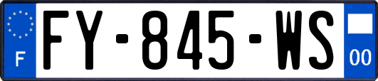 FY-845-WS