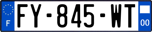 FY-845-WT