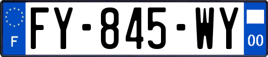 FY-845-WY