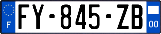 FY-845-ZB