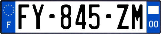 FY-845-ZM