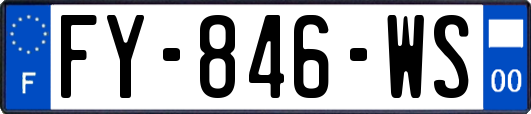 FY-846-WS