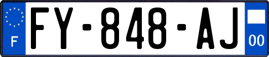 FY-848-AJ