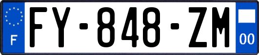 FY-848-ZM