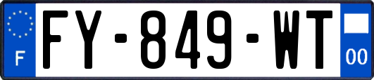 FY-849-WT