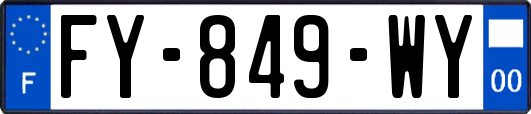 FY-849-WY