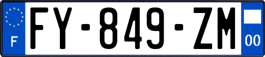 FY-849-ZM