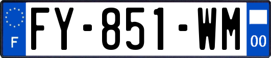 FY-851-WM