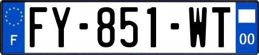 FY-851-WT