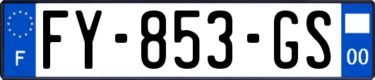 FY-853-GS