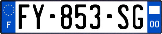 FY-853-SG