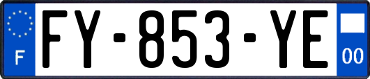 FY-853-YE