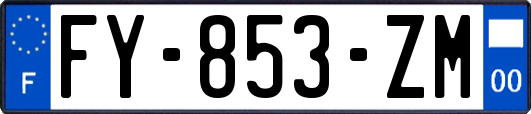 FY-853-ZM