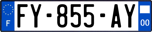 FY-855-AY