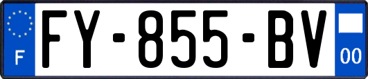 FY-855-BV