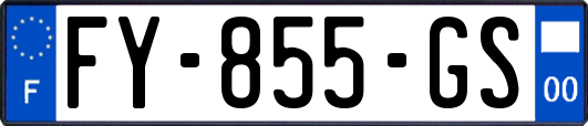 FY-855-GS