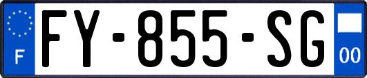 FY-855-SG