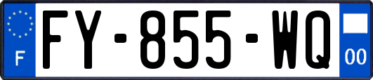 FY-855-WQ