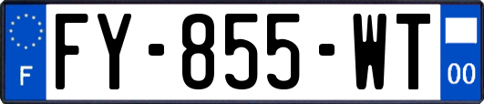 FY-855-WT