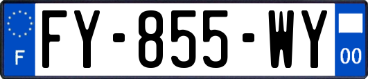 FY-855-WY