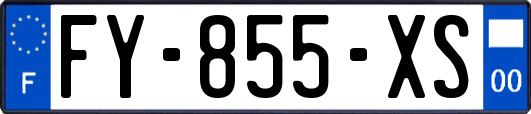 FY-855-XS