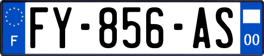 FY-856-AS