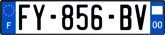 FY-856-BV