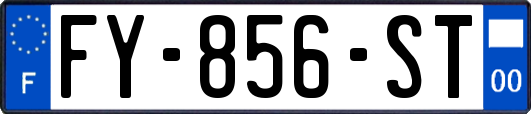 FY-856-ST