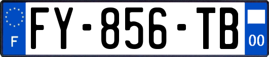 FY-856-TB