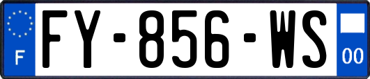 FY-856-WS