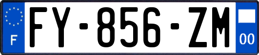 FY-856-ZM