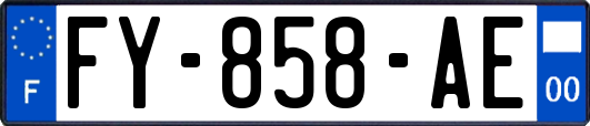 FY-858-AE