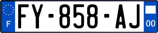 FY-858-AJ