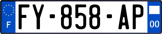 FY-858-AP