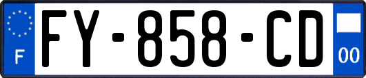 FY-858-CD