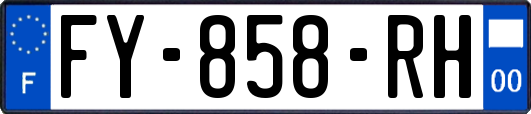 FY-858-RH