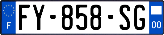 FY-858-SG