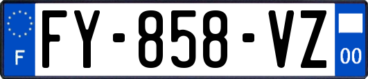 FY-858-VZ