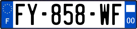 FY-858-WF