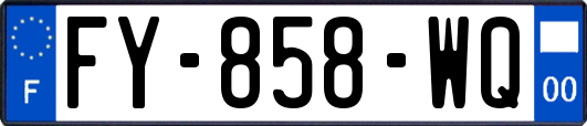FY-858-WQ