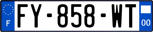 FY-858-WT