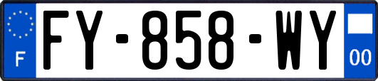 FY-858-WY