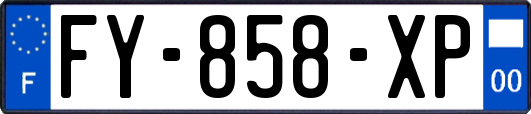 FY-858-XP