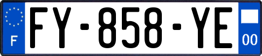 FY-858-YE