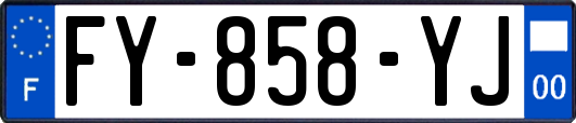FY-858-YJ